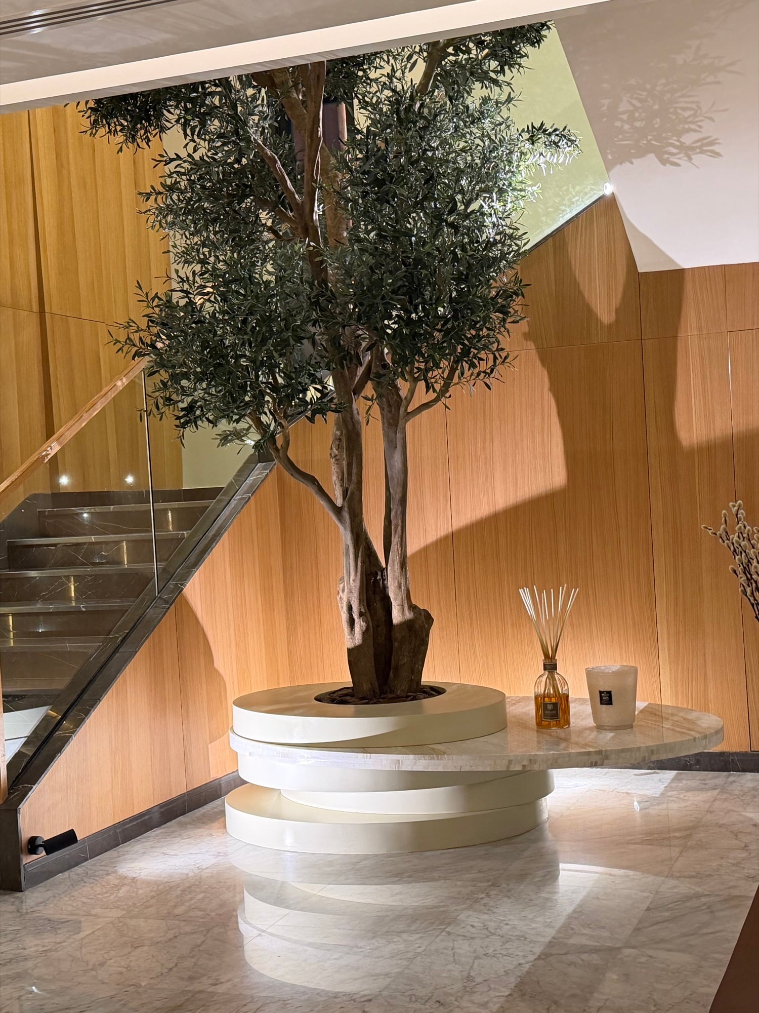 A mature olive tree on a stepped stone plinth beside a glass staircase, with a diffuser and candle on the ledge, designed by Radwa Interiors.