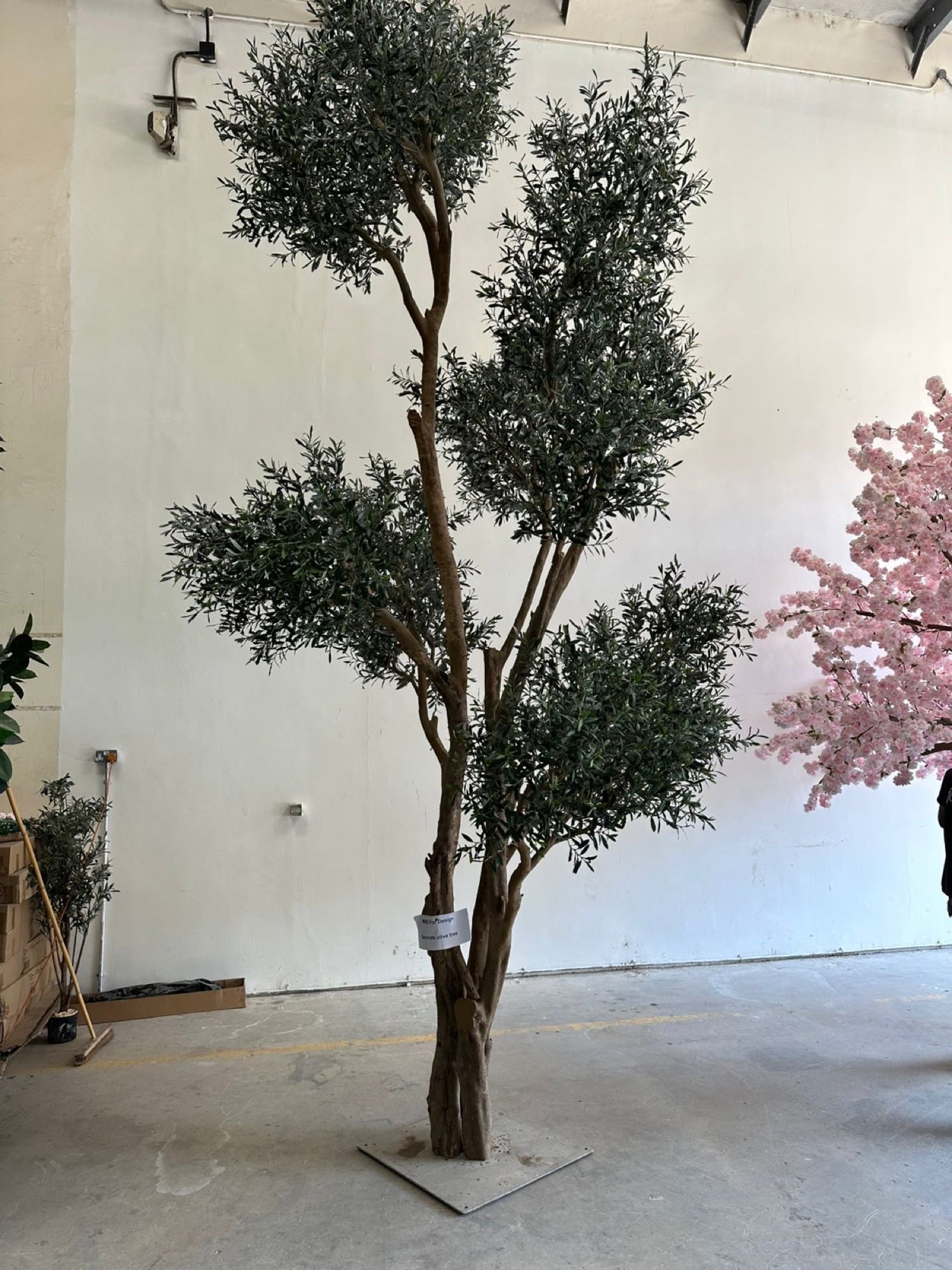 A tiered olive tree on a steel base in a workshop, beside a pink blossom tree, designed by Radwa Interiors.